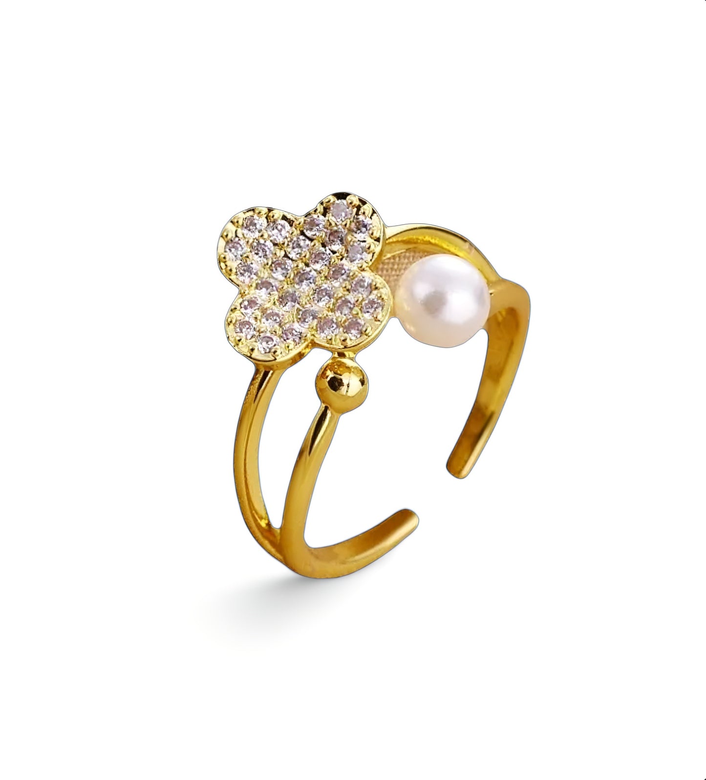 Anillo Perrie