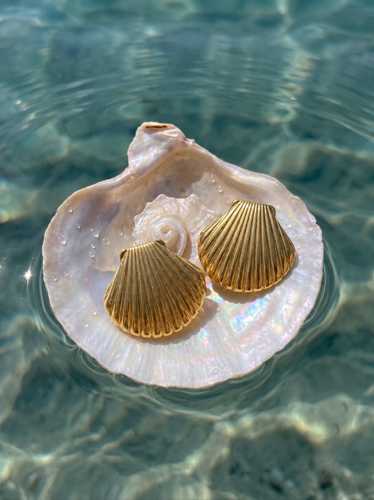 Scallop Earrings