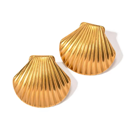 Scallop Earrings