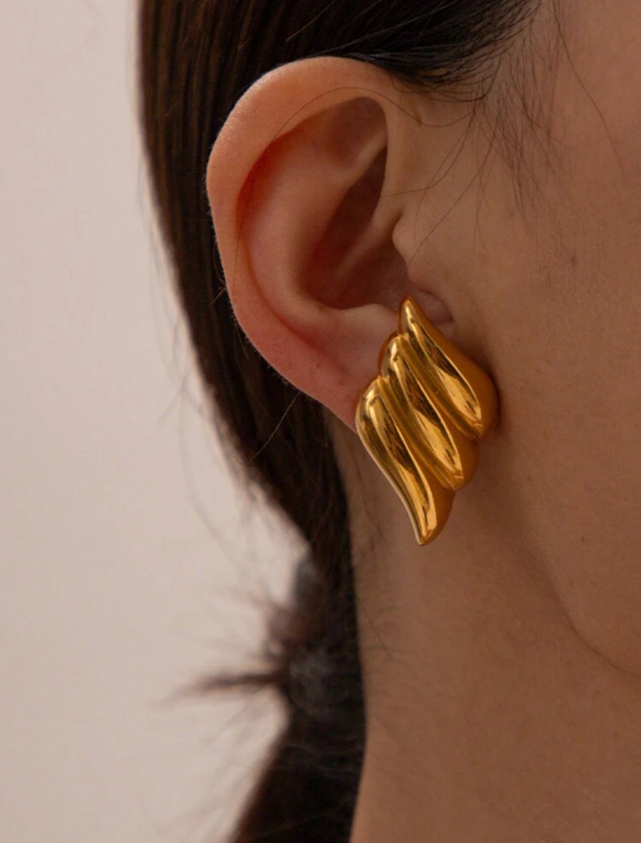 Wings Earrings