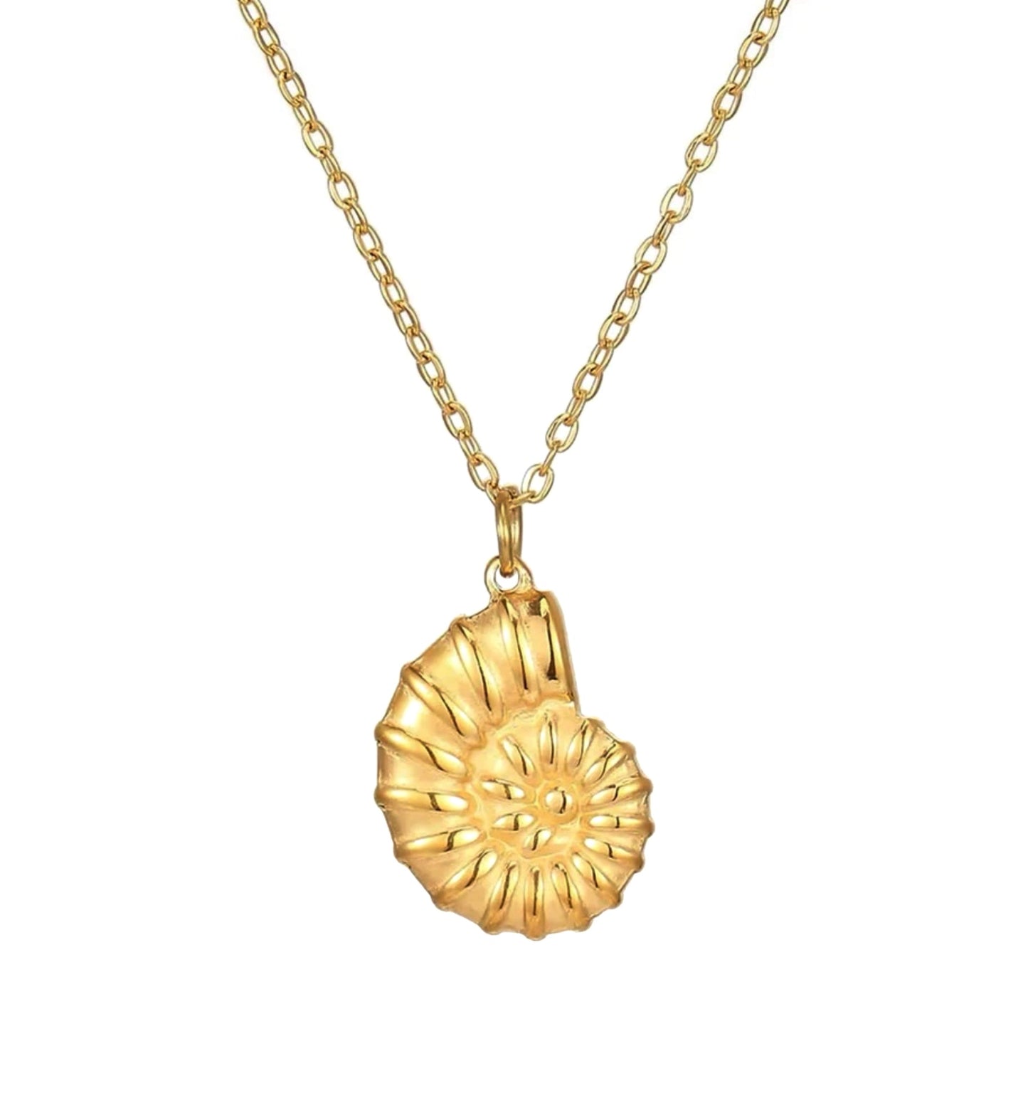Muschelkette