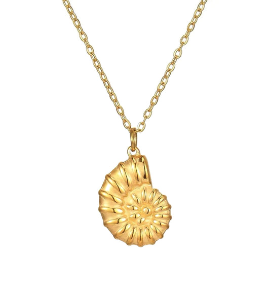 Muschelkette
