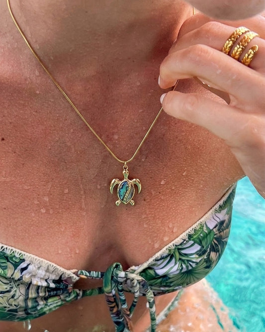 Collar Turtle